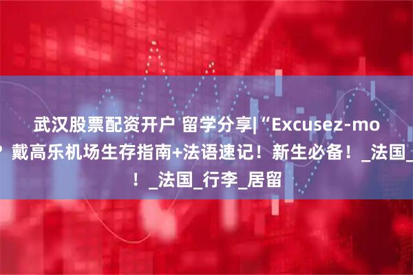 武汉股票配资开户 留学分享|“Excusez-moi”就够用？戴高乐机场生存指南+法语速记！新生必备！_法国_行李_居留